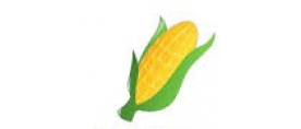 Baby Corn