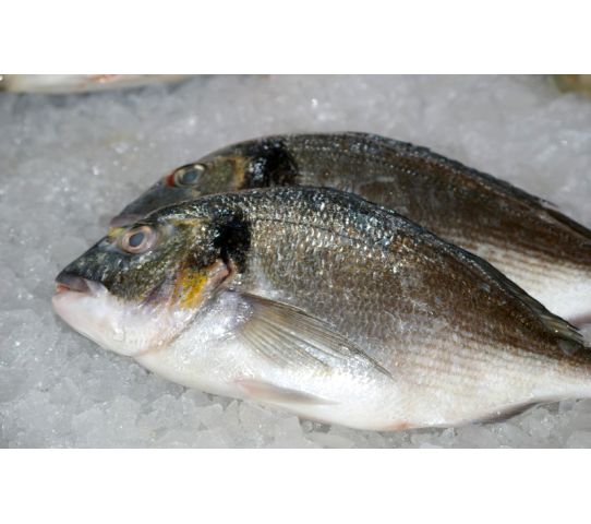 Kariba Whole Bream Fish KG