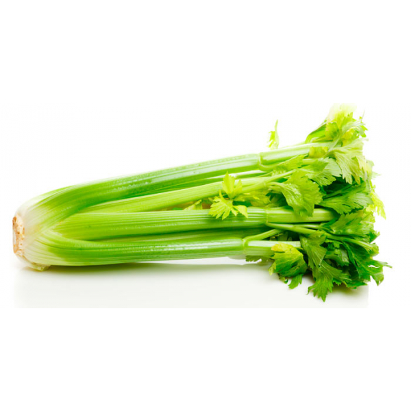 Celery Bunch BNC