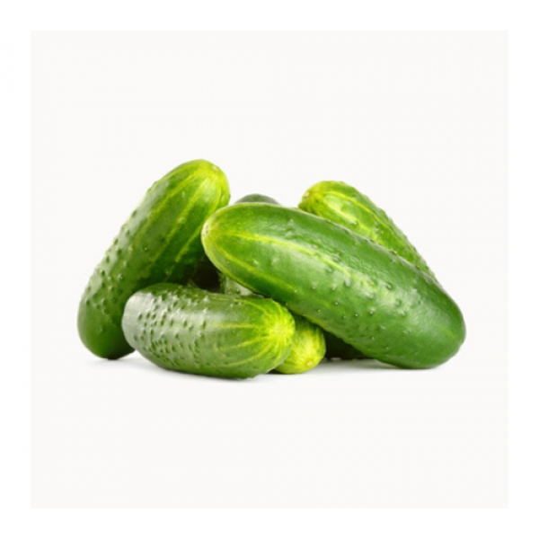 Cucumber Pnt