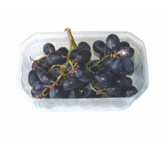 Grapes Black Imported Pnt