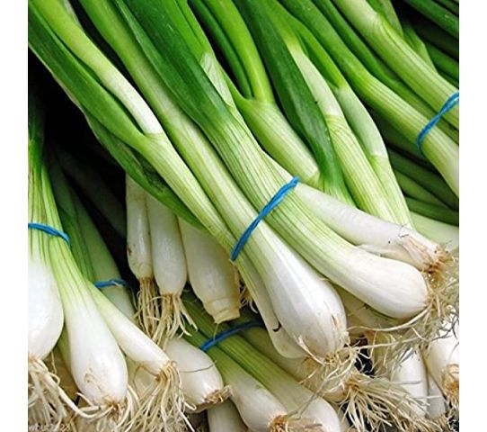 Green Onions BNC
