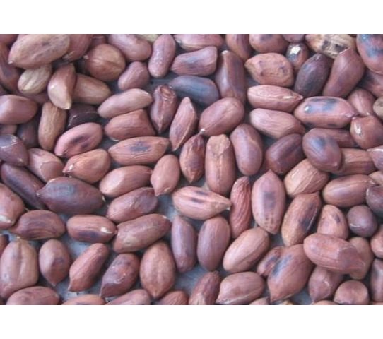 Ashy Roasted Nuts 70G