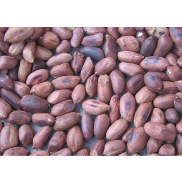 Ashy Roasted Nuts 70G