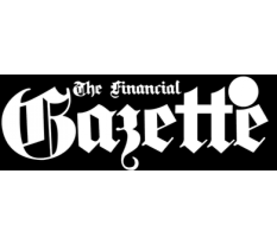 Financial Gazette Newspaper - Fingaz Each