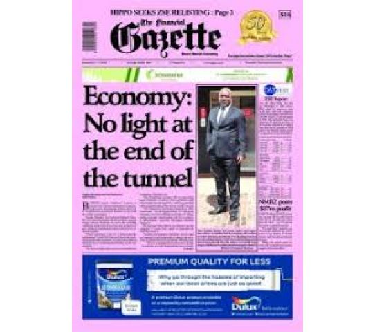 Financial Gazette Newspaper - Fingaz Each
