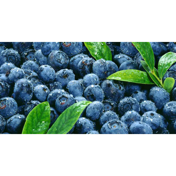 Blue Berries Pnt Pnt