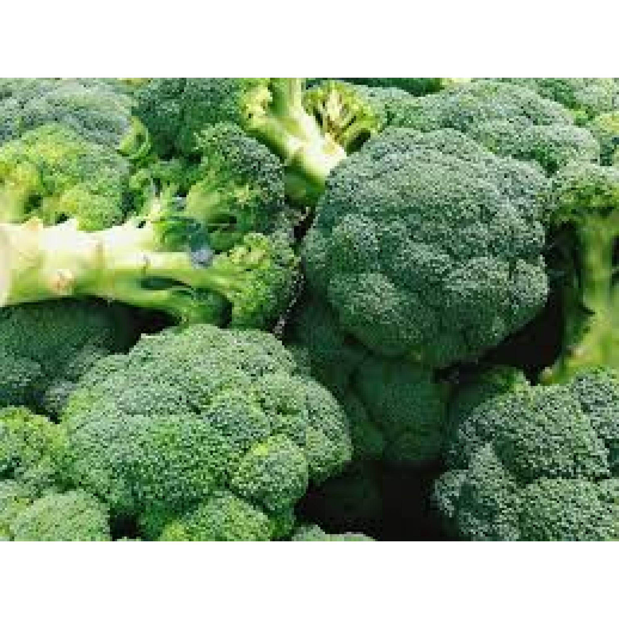 Brocolli Loose Kg