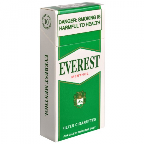 Everest Menthol Brick 20X10S