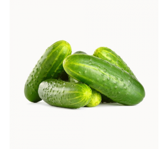 Cucumber Loose Kg