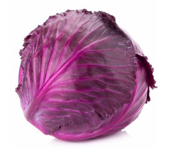 Cabbage Red Each