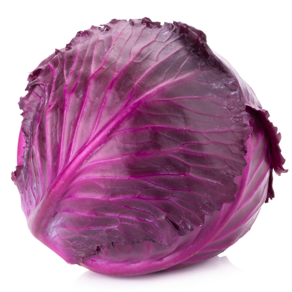 Cabbage Red Each