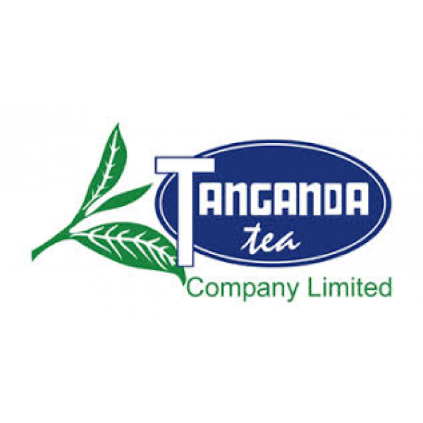 Tanganda Tagless Tea 26S